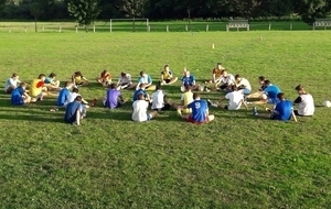 Les Petits Bleus travaillent !