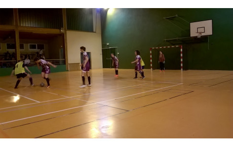 Les Seniors F se qualifient avec brio